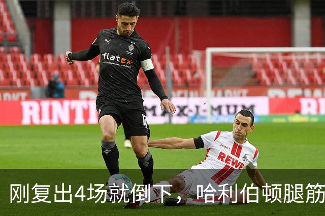 刚复出4场就倒下，哈利伯顿腿筋拉伤再缺阵