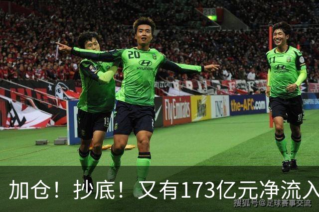 加仓！抄底！又有173亿元净流入