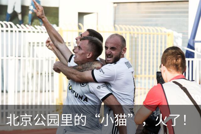 北京公园里的“小猫”，火了！