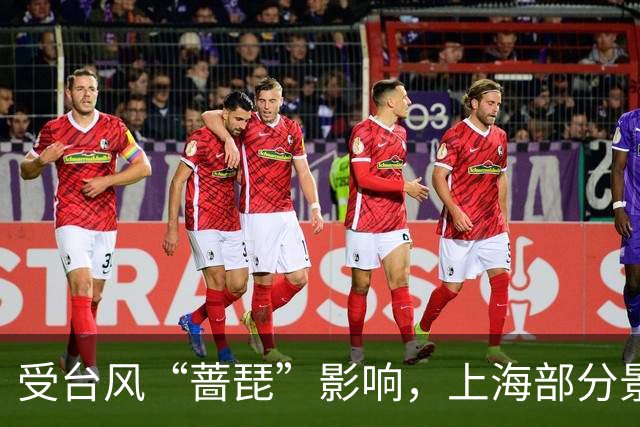 受台风“蔷琵”影响，上海部分景区闭园、多场文旅活动调整