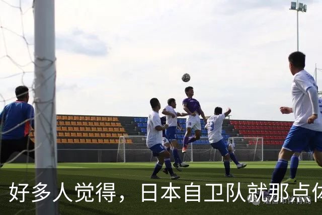 好多人觉得，日本自卫队就那点体量，咱们导弹一过去，机场、港口、军舰全趴窝，三天收工。这话听着解气，可搁现实里落不了地