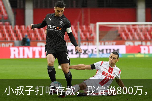 小叔子打听存款，我偏说800万，第二天他把公婆带来借我开厂