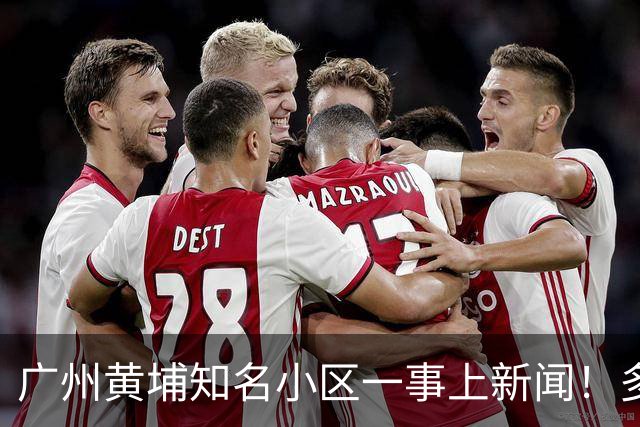 广州黄埔知名小区一事上新闻！多部门介入调查！