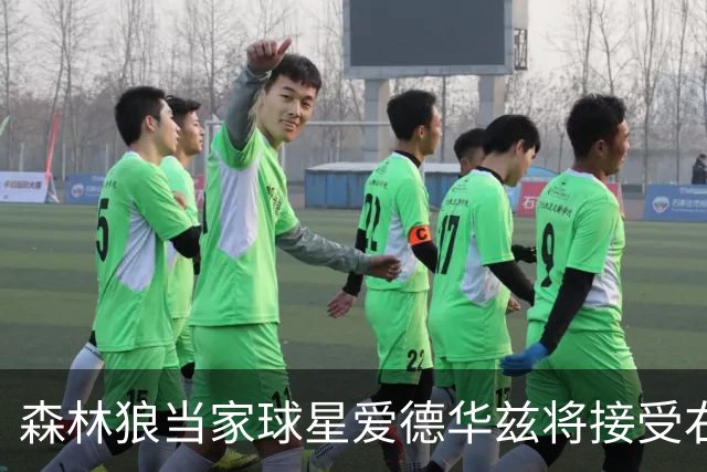 森林狼当家球星爱德华兹将接受右膝关节镜手术，预计伤停两个月，会对他的职业生涯有多大影响？球队阵容会如何调整？