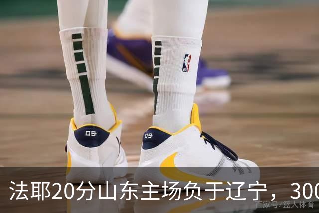 法耶20分山东主场负于辽宁，3000万先生王岚嵚0分首秀扑街
