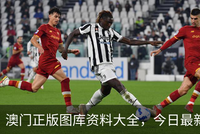 澳门正版图库资料大全，今日最新四九图库马会真传澳门跑狗四不像资料大全2026年新六合彩生肖码图